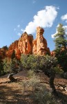 Red Canyon, UT