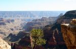 Overlooking the Grand Canyon from the North Rim
