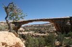 Owachomo Bridge, Natural Bridges National Monument