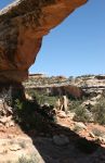 Owachomo Bridge, Natural Bridges National Monument