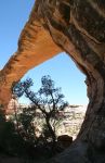Owachomo Bridge, Natural Bridges National Monument
