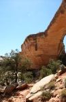 Owachomo Bridge, Natural Bridges National Monument