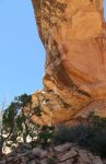 Owachomo Bridge, Natural Bridges National Monument