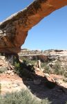 Owachomo Bridge, Natural Bridges National Monument