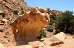 Rock Formation, Capitol Reef National Park