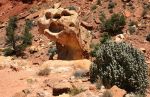 Rock Formation, Capitol Reef National Park