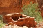 Rock Formation, Capitol Reef National Park