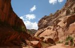 Capitol Gorge, Capitol Reef National Park
