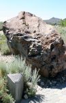 Large chunk of Rhyolite