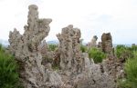 Tufas at Mono Lake, Ca