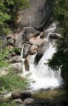 Cascade Creek in Yosemite National Park, CA