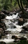 Streams
